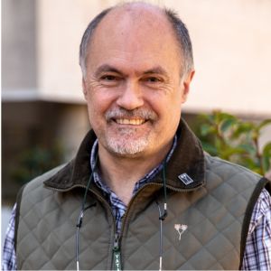 Alejandro R. Goñi_NanoSeries2026